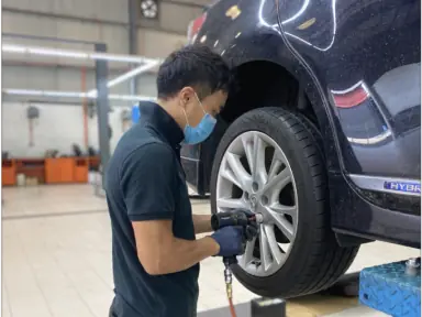 TIGER SHOJI SDN BHD